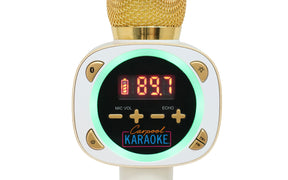 Carpool Karaoke Mic